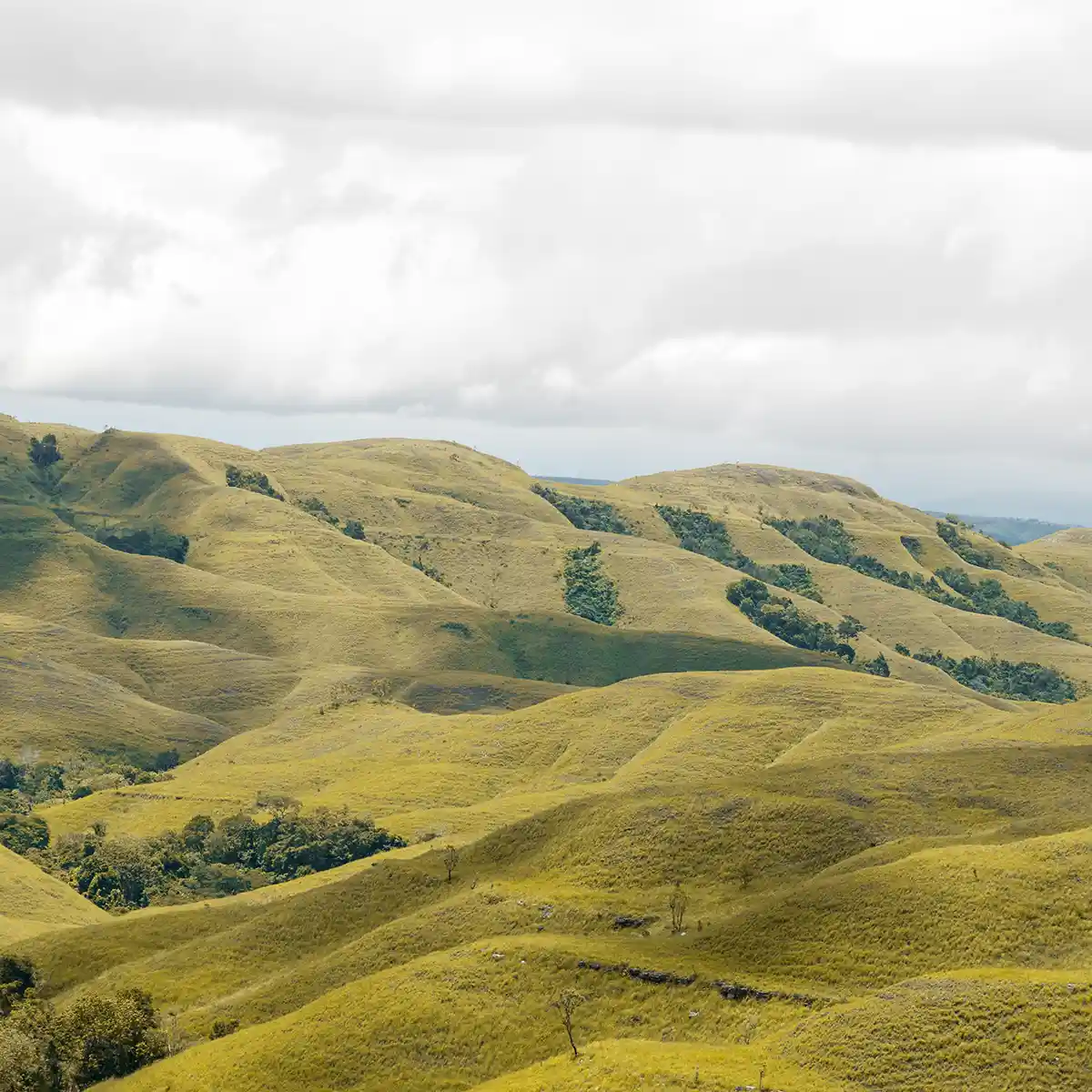 Wairinding Hill, East Sumba