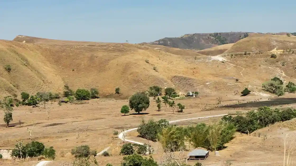 Ferry And Overland Routes From Bali To Sumba Explained